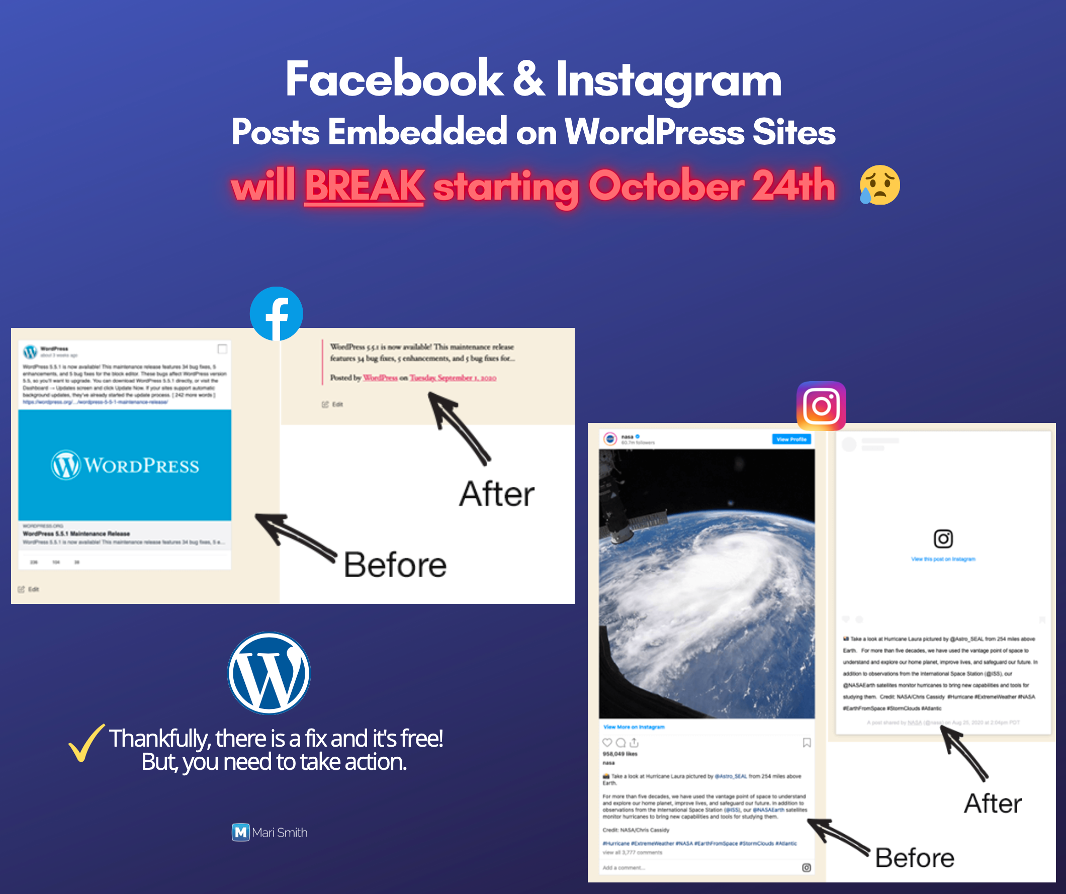 FB & IG WordPress Plugins